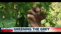 Greening the grey