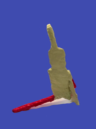 CHAAP 6