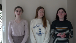 OAB 2023 Lycée Simone Veil - L'hydrotropisme des racines de radis