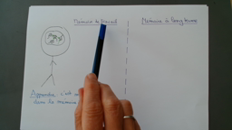 fonctionnement cerveau et mémoire