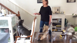 Le premier , le dernier le jeu du train pour mes petits