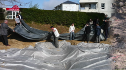 Histoires de mare