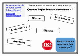 Campagne de sensibilisation au harcèlement - NAH - 07-11-2024