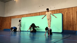 Acro 3d 24.01
