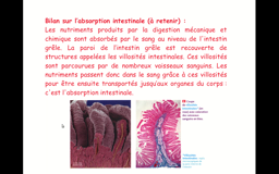 L'absorption intestinale Seance 1