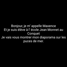 La puce de mer