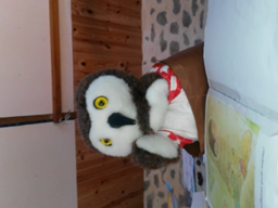 Chronique 26 : La boite aux lettres