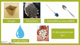 Semer des graines