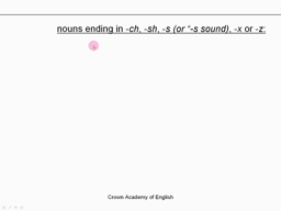 Le pluriel des noms anglais (les pluriels irréguliers).