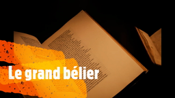13. Le grand bélier, qui cache Ulysse