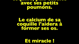 ROM POL DOC - Chorégraphie n°4