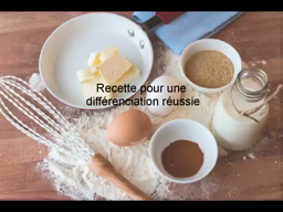 introduction de la formation hybride pédagogie différenciée