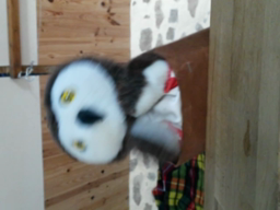 chronique 23 : raconter la suite d'une histoire connue;