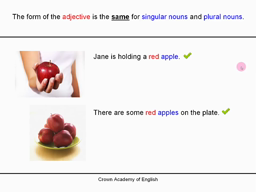 Les adjectifs.