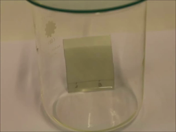 Révélation d'une CCM (UV et Réactif)