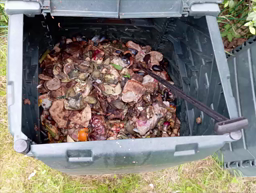 Dans l'océan, les plastiques c'est pas fantastique