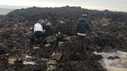 L'aire Marine Educative de Houat
