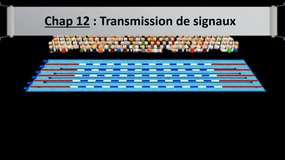 Chap 12 : Transmission de signaux en 7min