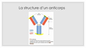 1SPE SVT Les anticorps (structure et production)