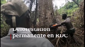 Deforestation en RDC , extrait de  BBC news