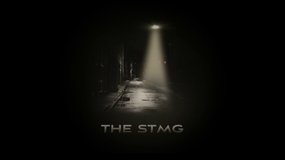 Promotion de la STMG
