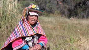 El conocimiento Kallawaya