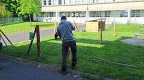 Eco-paturage au lycée Dupuy de Lôme