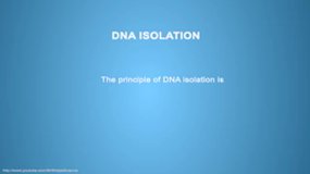 DNA isolation
