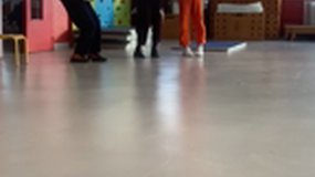 Projet cirque 3