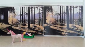 stop motion CP Chêne centenaire