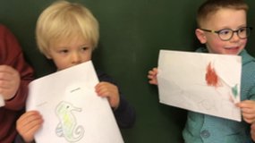 Les animaux marins du plus petit au plus grand