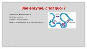 1SPE SVT Les enzymes
