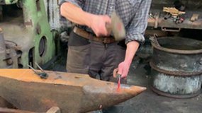 La tige d'une autre feuille devient une volute