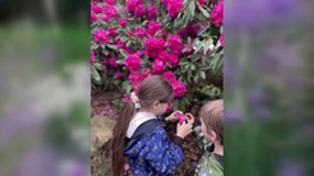 Il était temps que le printemps arrive