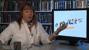 Dr Zilbovicius 11 min
