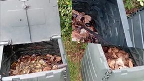 TJE Les Gayeulles Rennes En lutte contre la pollution des océans!