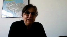Isabelle Pellerin, interview de l'élue de la Région Bretagne pour le JDGDL