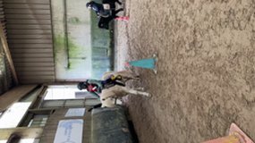 vidéo 13/01 poney 2