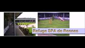 CR19-Clg Vautier-Rennes-La SPA