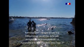 Plongée Ouessant - Aire Marine Educative