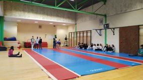 Acro 3B S3