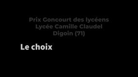 Le choix des lectures parmi la sélection du Goncourt des Lycéens, lycée Camille Digoin 3/4