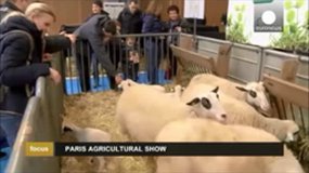 International Agriculture Show, farming for the future