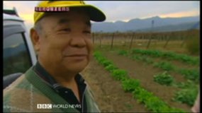 High tech farming in Japan