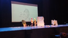différences entre les oiseaux des jardins et ceux du bord de mer