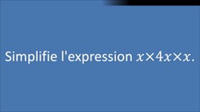 051 - Réductions d'expressions littérales