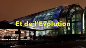ROM POL DOC - Chorégraphie n°1