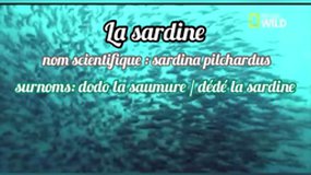 CR21-Harteloire - être serrés comme des sardines