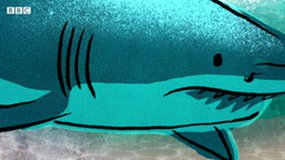Shark skin: biomimicry BBC