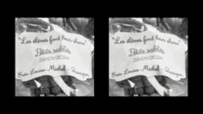 Les élèves de 3ème de l'EREA font leur show